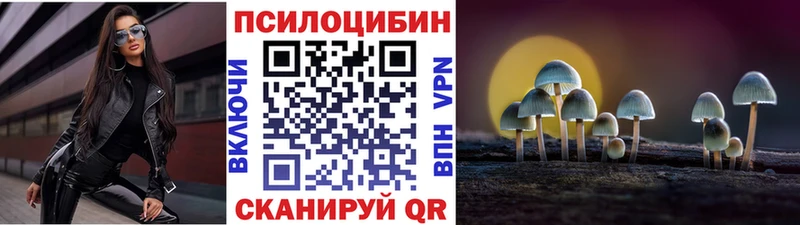 купить наркотик  Новый Уренгой  Галлюциногенные грибы Magic Shrooms 